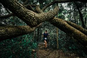 BIB: 
                            <button type="button" onclick="openModal(25708189)" class="btn btn-primary btn-sm float-right btn-popup" data-toggle="modal" data-target=".modal-high-quality">
                        <i class="fas fa-shopping-cart"></i> Add to Cart
                    </button>
                                            <button type="button" onclick="isThisMe(25708189, true)" class="btn btn-success btn-sm float-right btn-popup btn-isme hidden" data-toggle="tooltip" data-placement="bottom" title="นี่คือรูปของคุณใช่ไหม คลิกที่นี่เพื่อเอาเข้าอัลบั้ม">
                        <i class="fas fa-plus"></i> Add to album
                    </button>
                    <button type="button" onclick="isThisMe(25708189, false)" class="btn btn-warning btn-sm float-right btn-popup btn-isnotme hidden">
                        <i class="fas fa-ban"></i> Remove from album
                    </button>